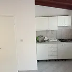 Apartman Jerkovic Zuljana